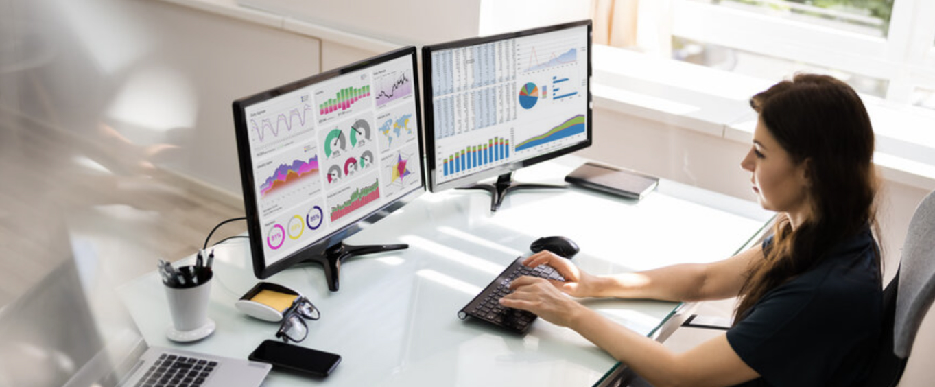 Typical SberPro user’s environment